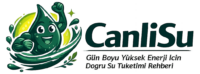 cropped logo.png